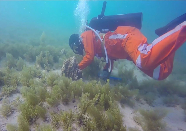 人生就是搏·(中国区)官方网站