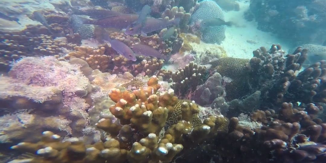 人生就是搏·(中国区)官方网站